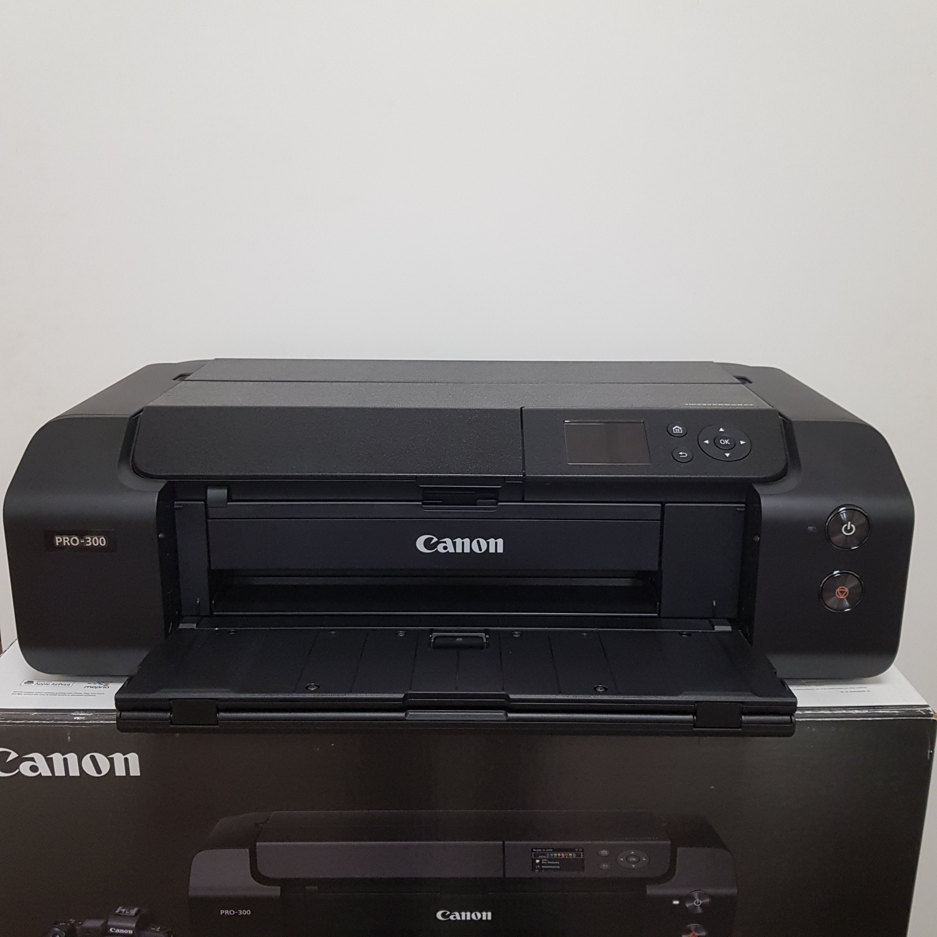 Stampante professionale Canon pixma PRO-300 usato