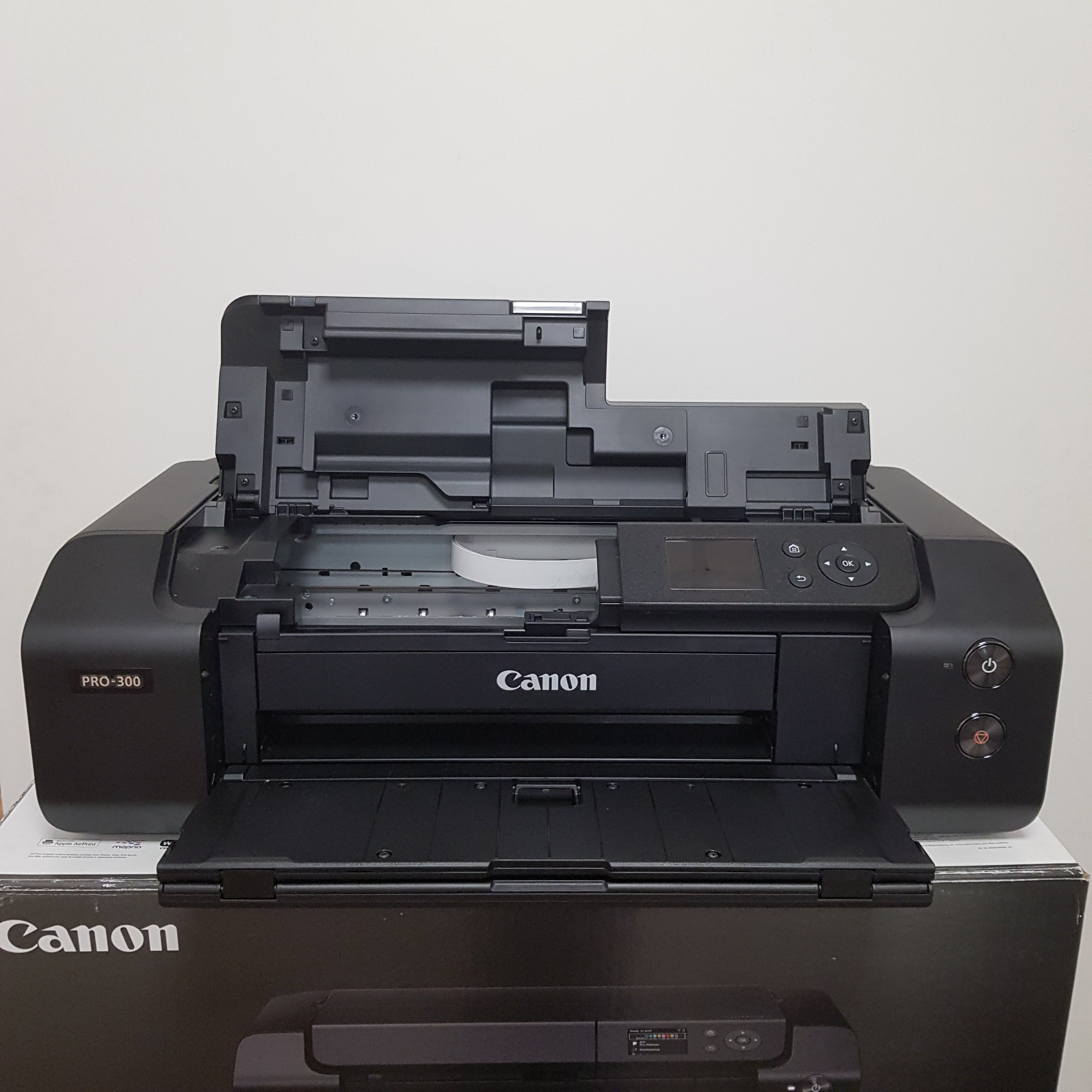 Stampante professionale Canon pixma PRO-300 usato