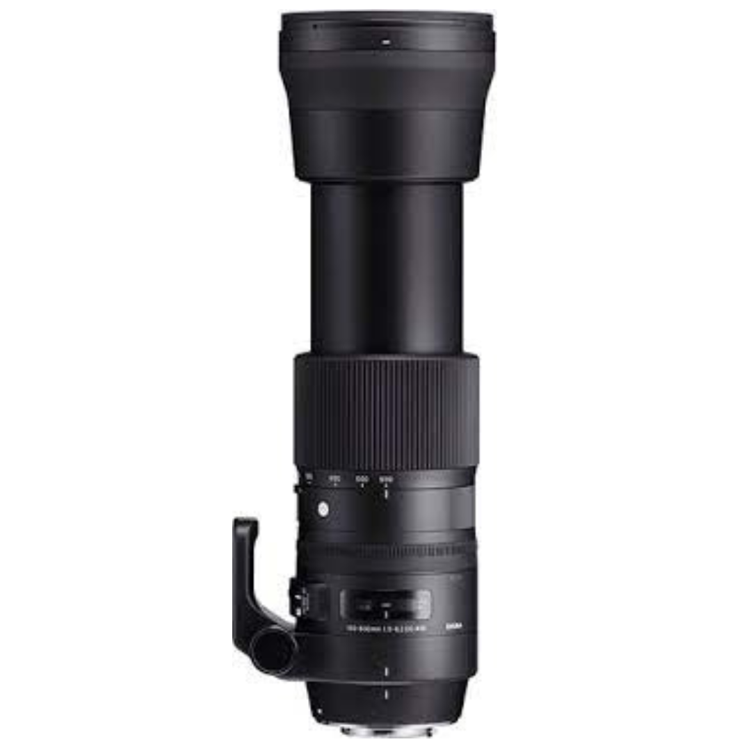 Sigma KIT 150-600mm "C" + TELEC. TC-1401 1.4X per Nikon - Garanzia M-trading 3 anni - Cine Sud è da 48 anni sul mercato! 6030611