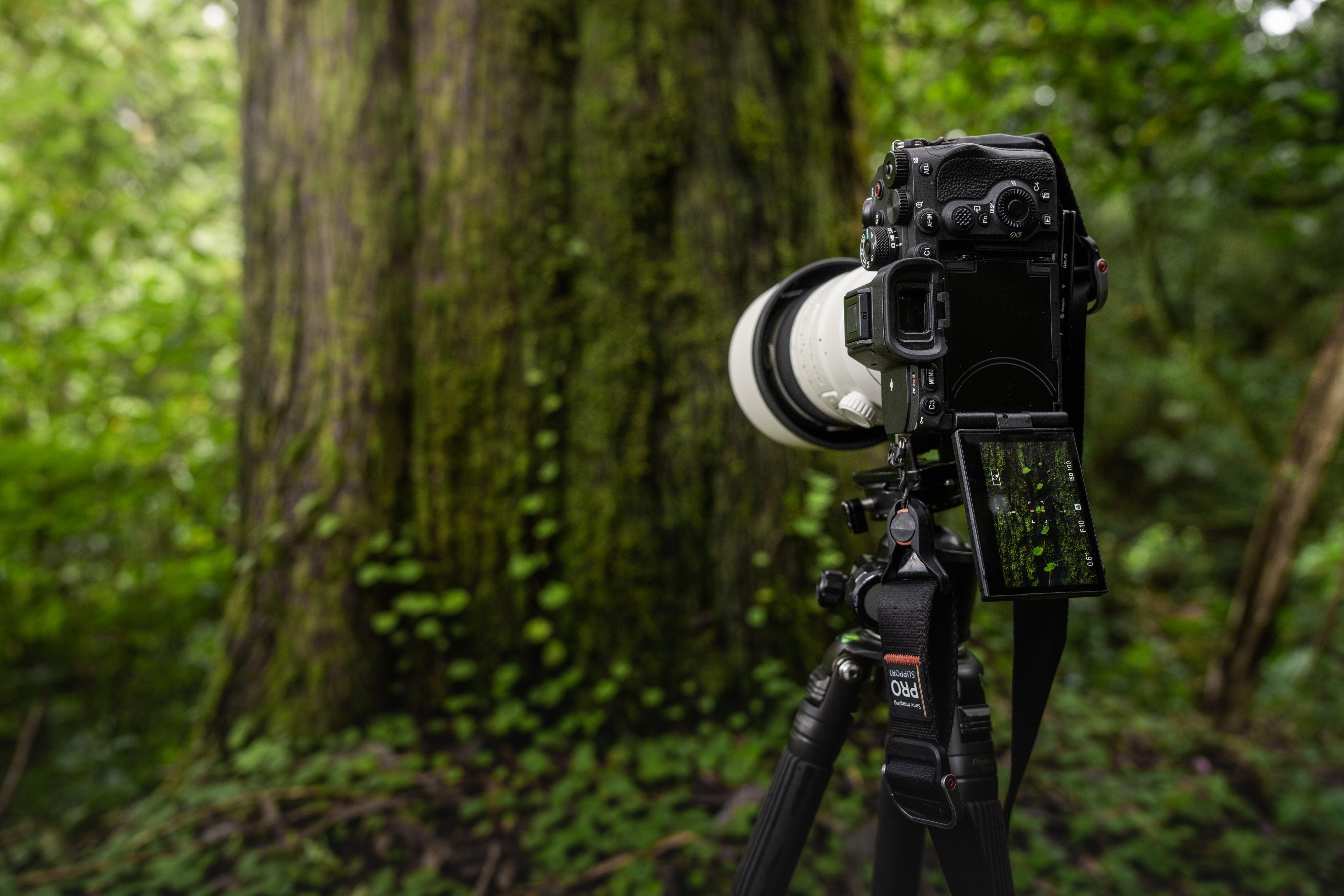 Sony a7RV Body , a7RMV , 7RM5  Garanzia Sony Italia - Cine Sud è da 48 anni sul mercato! ILCE7RM5B.CEC 7rmV