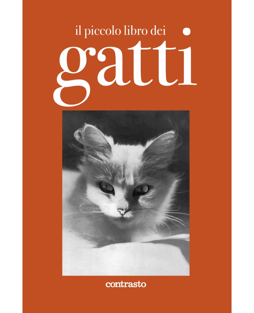 Il piccolo libro dei gatti